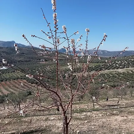 بيت للعطل Torre Santo Dios *